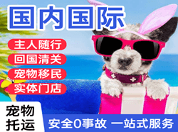 义勒力特航空托运国际宠物托运 【国